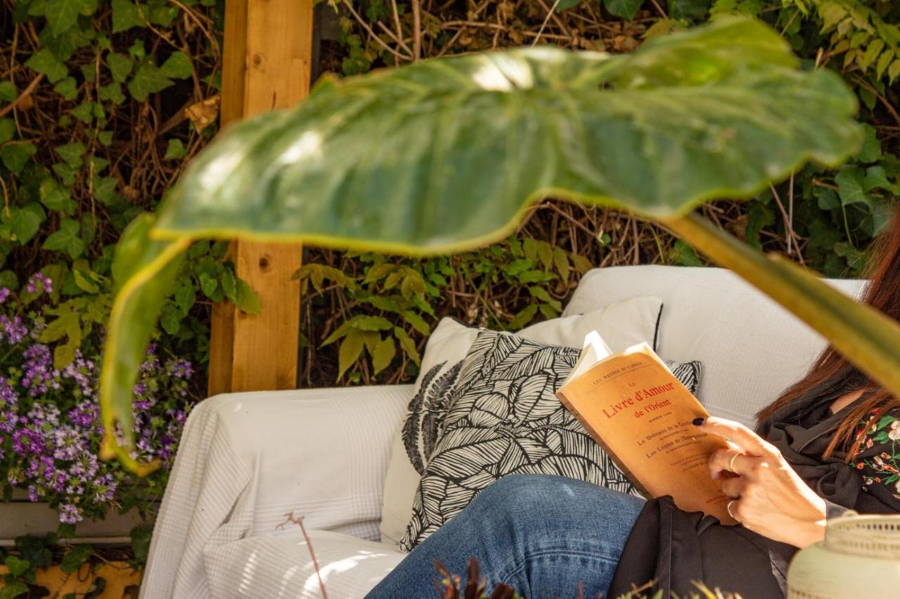 Casa Da Adoa B&B ポルチーニョ・ダ・アラービダ エクステリア 写真