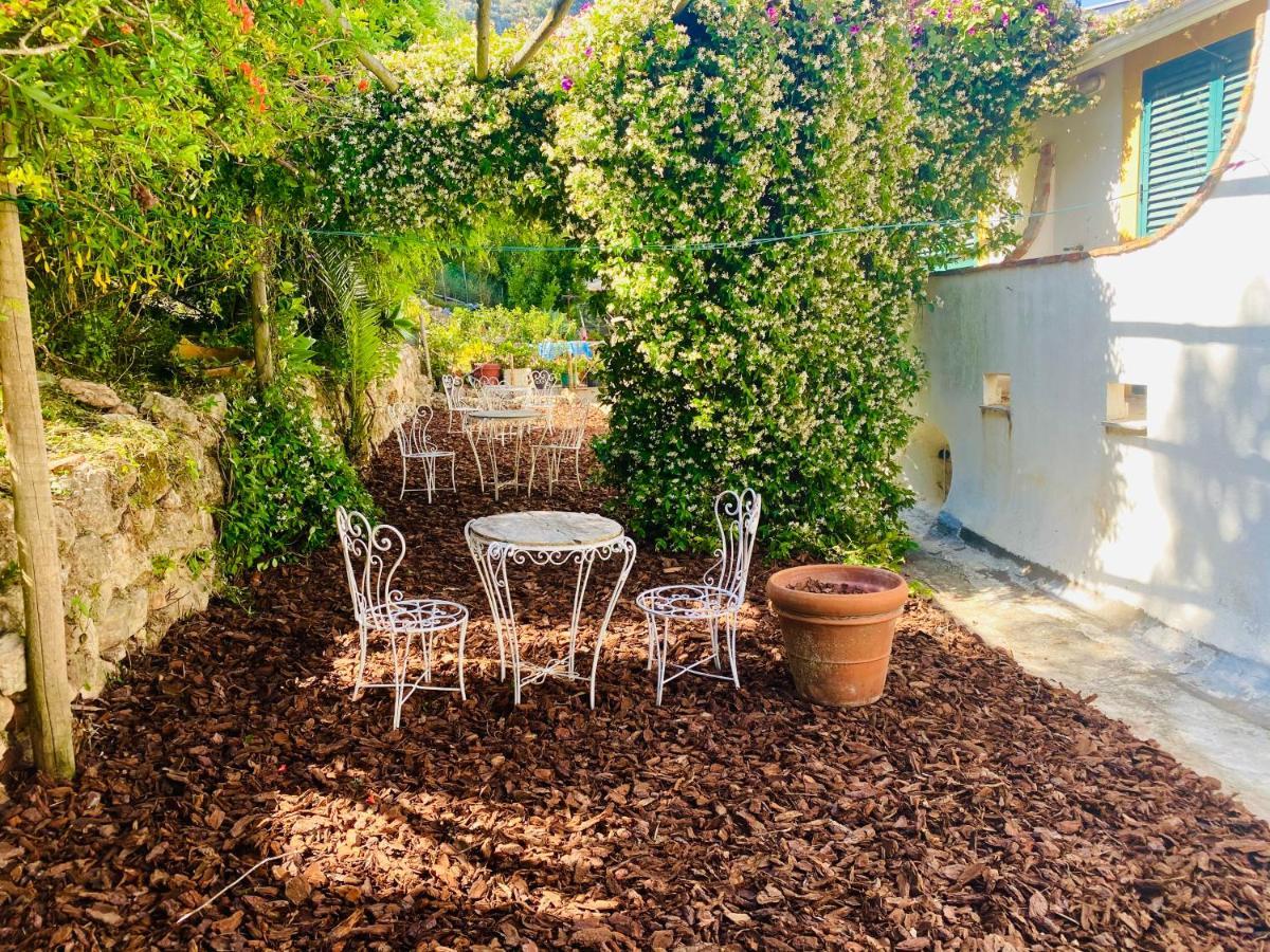 Casa Da Adoa B&B ポルチーニョ・ダ・アラービダ エクステリア 写真