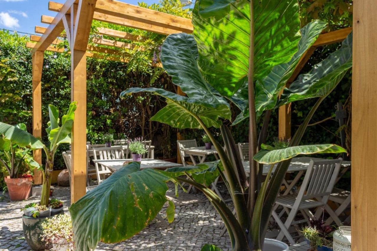 Casa Da Adoa B&B ポルチーニョ・ダ・アラービダ エクステリア 写真