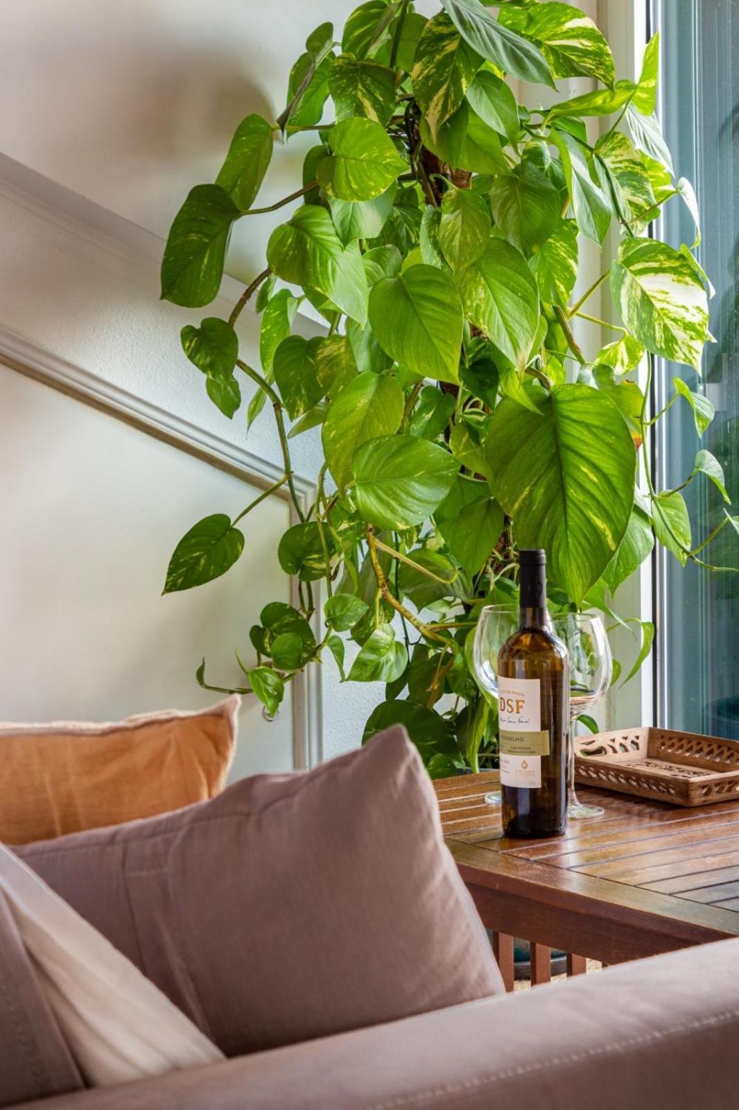Casa Da Adoa B&B ポルチーニョ・ダ・アラービダ 部屋 写真
